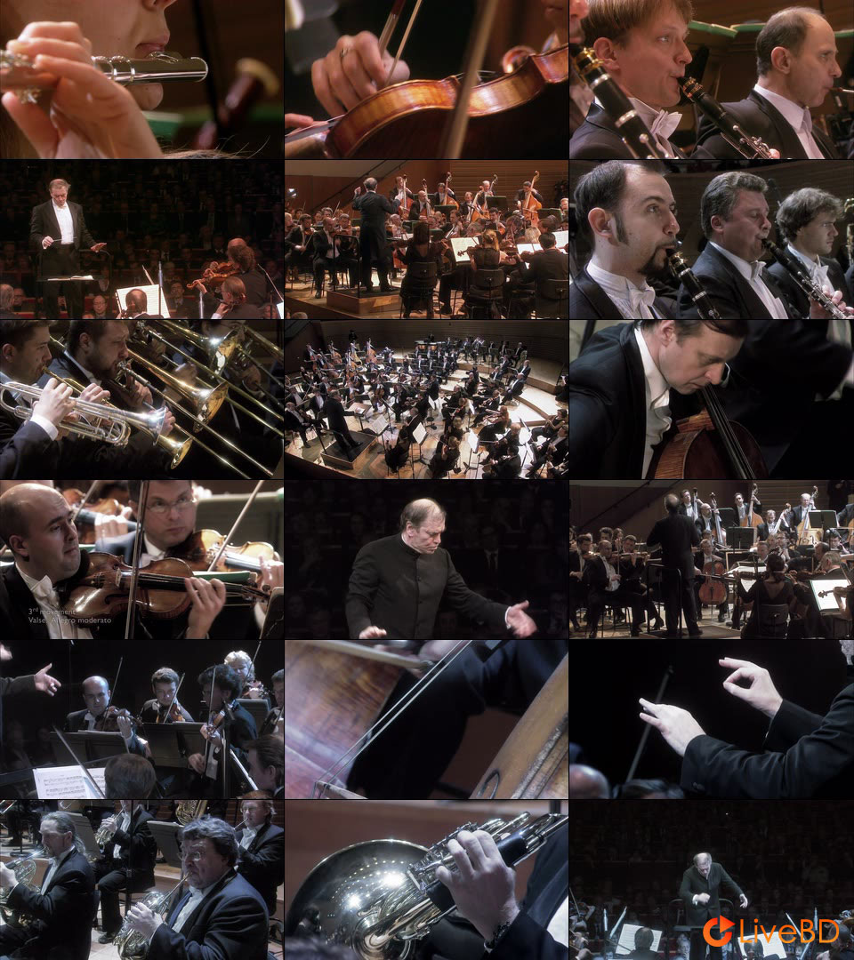 Valery Gergiev & Mariinsky Orchestra – Tchaikovsky Symphonies Nos. 4, 5 & 6 (2011) BD蓝光原盘 30.4G_Blu-ray_BDMV_BDISO_2