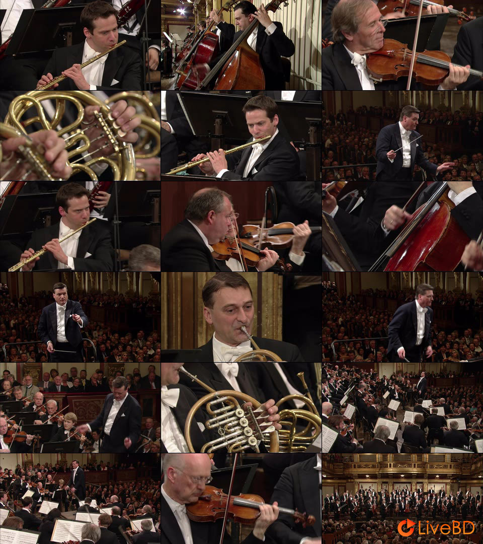 Christian Thielemann & Wiener Philharmoniker – Beethoven Symphonies Nos. 4, 5 & 6 (2011) BD蓝光原盘 40.2G_Blu-ray_BDMV_BDISO_2