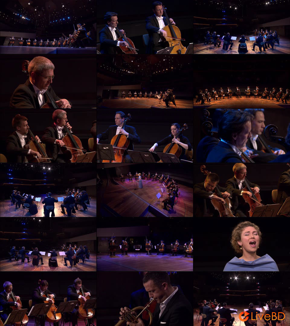Berliner Philharmoniker – Die 12 Cellisten der Berliner Philharmoniker (2012) BD蓝光原盘 44.3G_Blu-ray_BDMV_BDISO_2