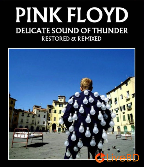 Pink Floyd – Delicate Sound of Thunder (2013) BD蓝光原盘 35.4G_Blu-ray_BDMV_BDISO_