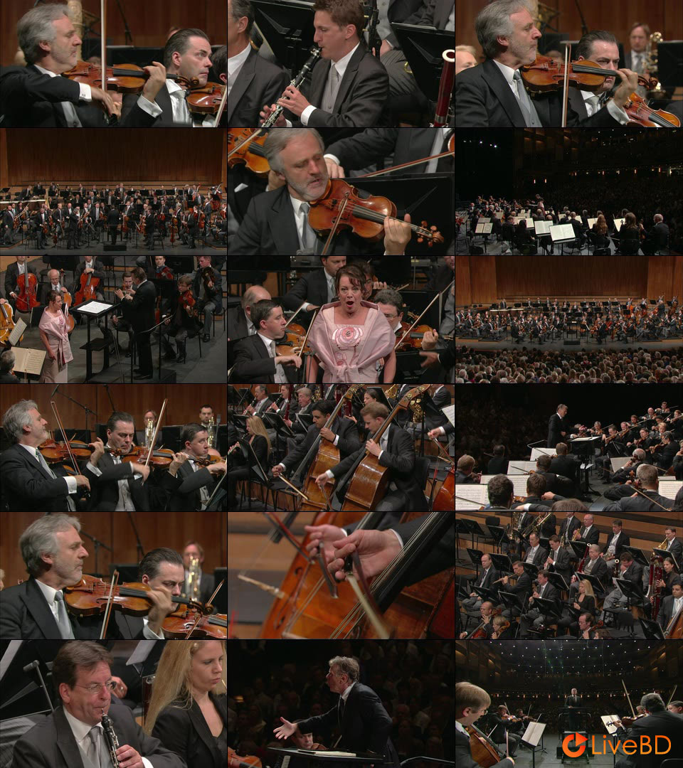 Mariss Jansons & Wiener Philharmoniker – Salzburg Festival 2012 Strauss, Wagner, Brahms (2013) BD蓝光原盘 22.5G_Blu-ray_BDMV_BDISO_2