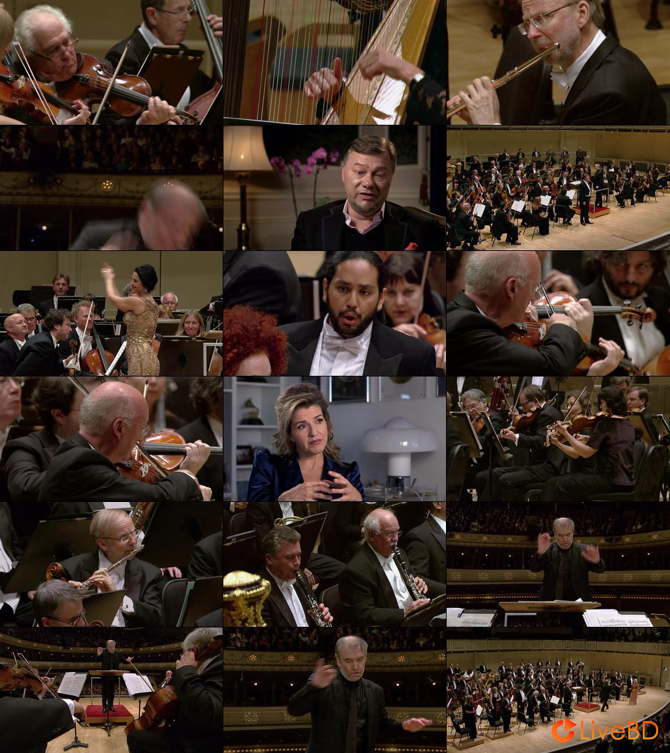 Valery Gergiev & World Orchestra for Peace – Solti Centenary Concert (2013) BD蓝光原盘 20.3G_Blu-ray_BDMV_BDISO_2