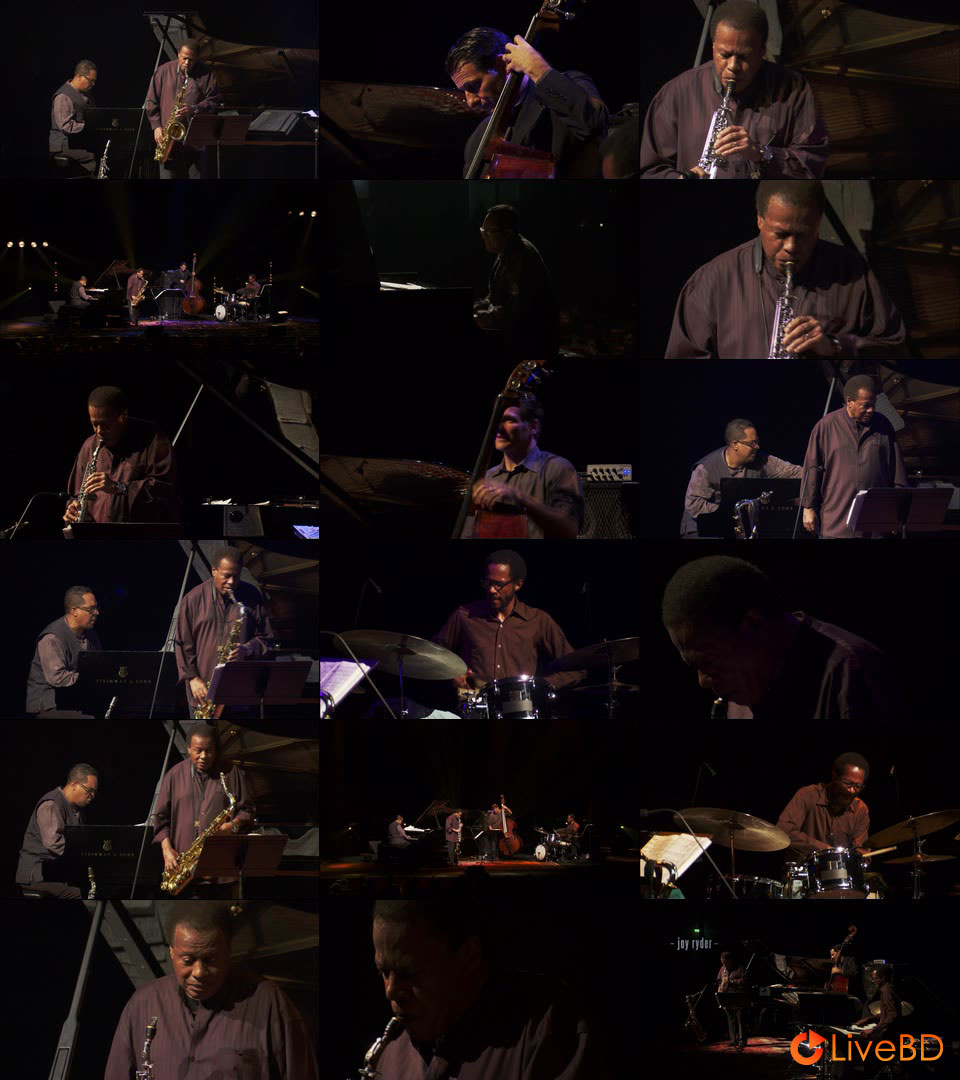 The Language of the Unknown : A Film About the Wayne Shorter Quartet (2013) BD蓝光原盘 21.2G_Blu-ray_BDMV_BDISO_2