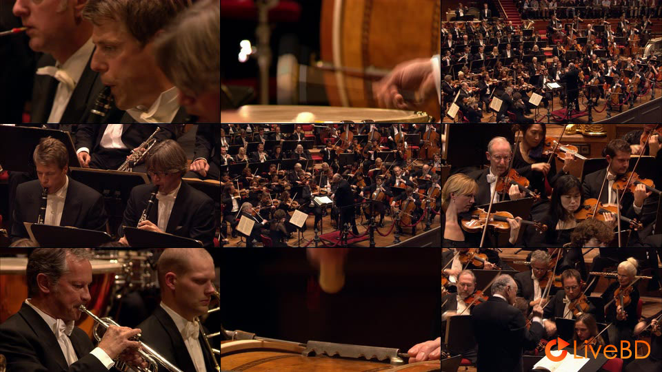 Royal Concertgebouw Orchestra – Mahler Symphonies 1-10, Totenfeier, Das Lied von der Erde (11BD) (2013) BD蓝光原盘 216.5G_Blu-ray_BDMV_BDISO_6
