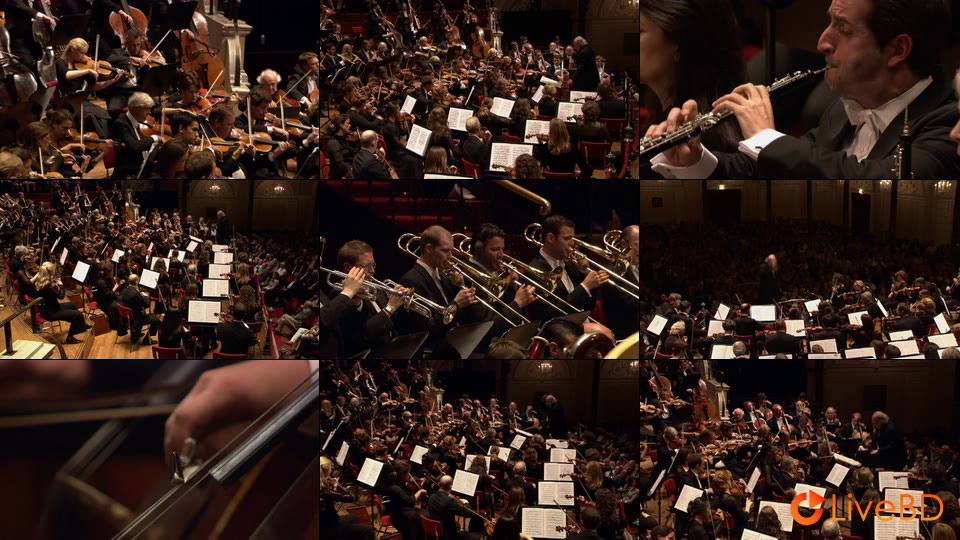 Royal Concertgebouw Orchestra – Mahler Symphonies 1-10, Totenfeier, Das Lied von der Erde (11BD) (2013) BD蓝光原盘 216.5G_Blu-ray_BDMV_BDISO_10