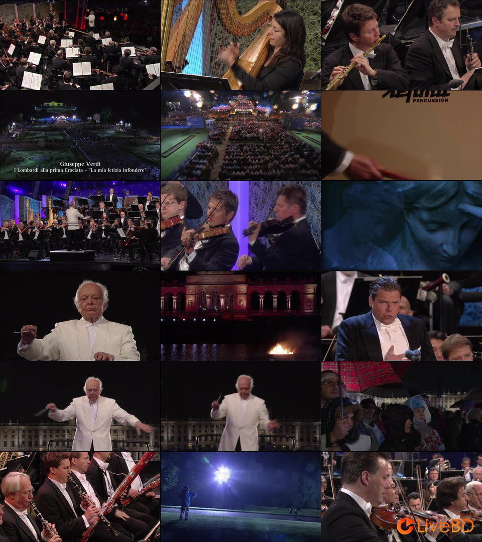 Summer Night Concert 2013 / Sommernachtskonzert 2013 (2013) BD蓝光原盘 26.1G_Blu-ray_BDMV_BDISO_2