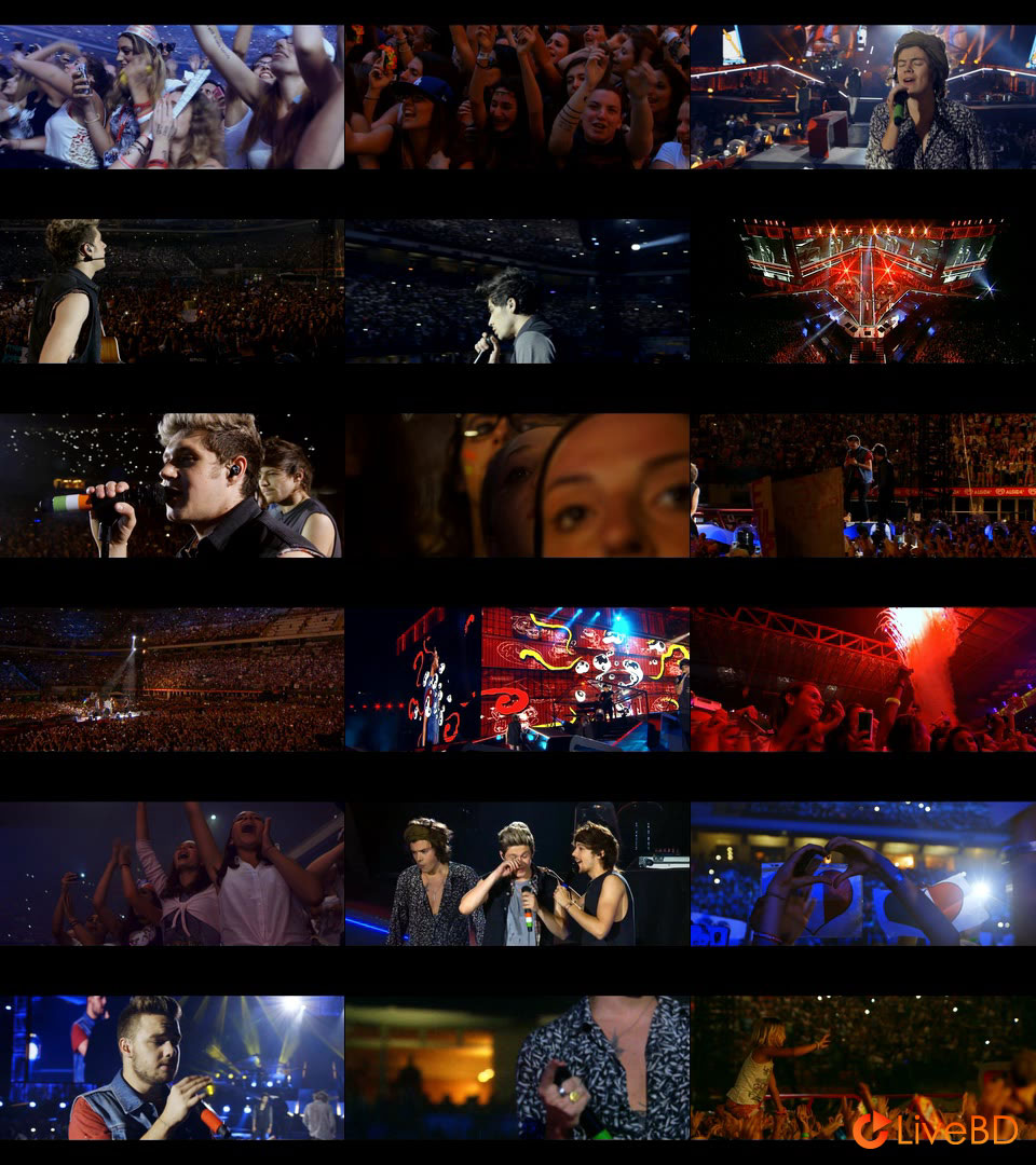 One Direction – Where We Are : Live From San Siro Stadium (2014) BD蓝光原盘 17.7G_Blu-ray_BDMV_BDISO_2