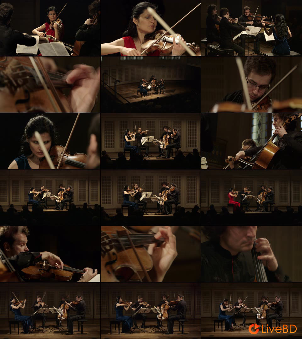 Belcea Quartet – Beethoven The Complete String Quartets (4BD) (2014) BD蓝光原盘 128.4G_Blu-ray_BDMV_BDISO_4