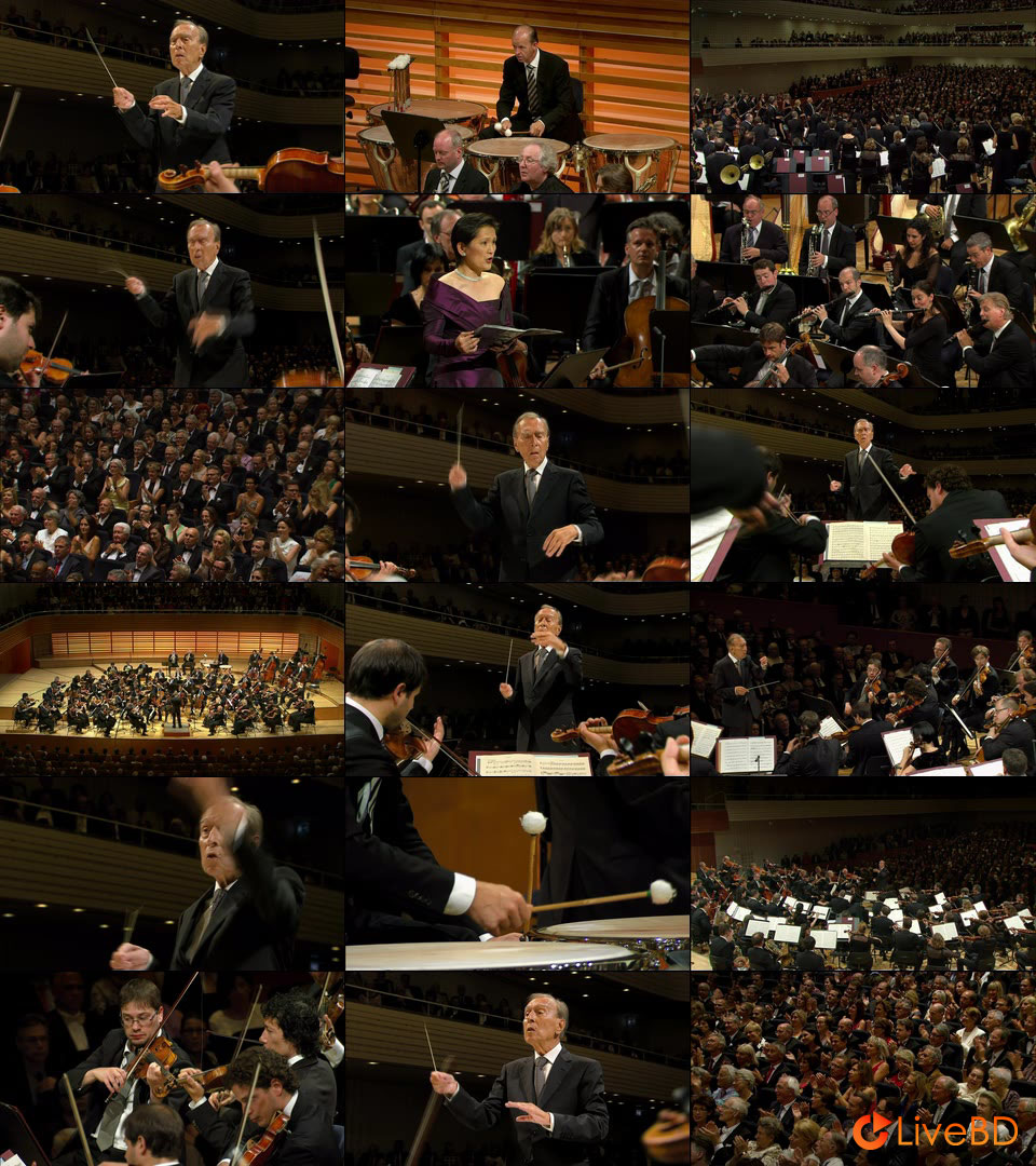 Claudio Abbado & Lucerne Festival Orchestra – Brahms, Schoenberg & Beethoven (2014) BD蓝光原盘 21.3G_Blu-ray_BDMV_BDISO_2