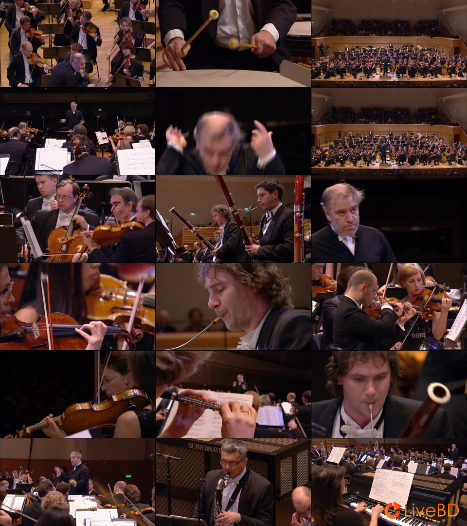 Valery Gergiev – Shostakovich Complete Symphonies & Concertos (4BD) (2015) BD蓝光原盘 170.5G_Blu-ray_BDMV_BDISO_2