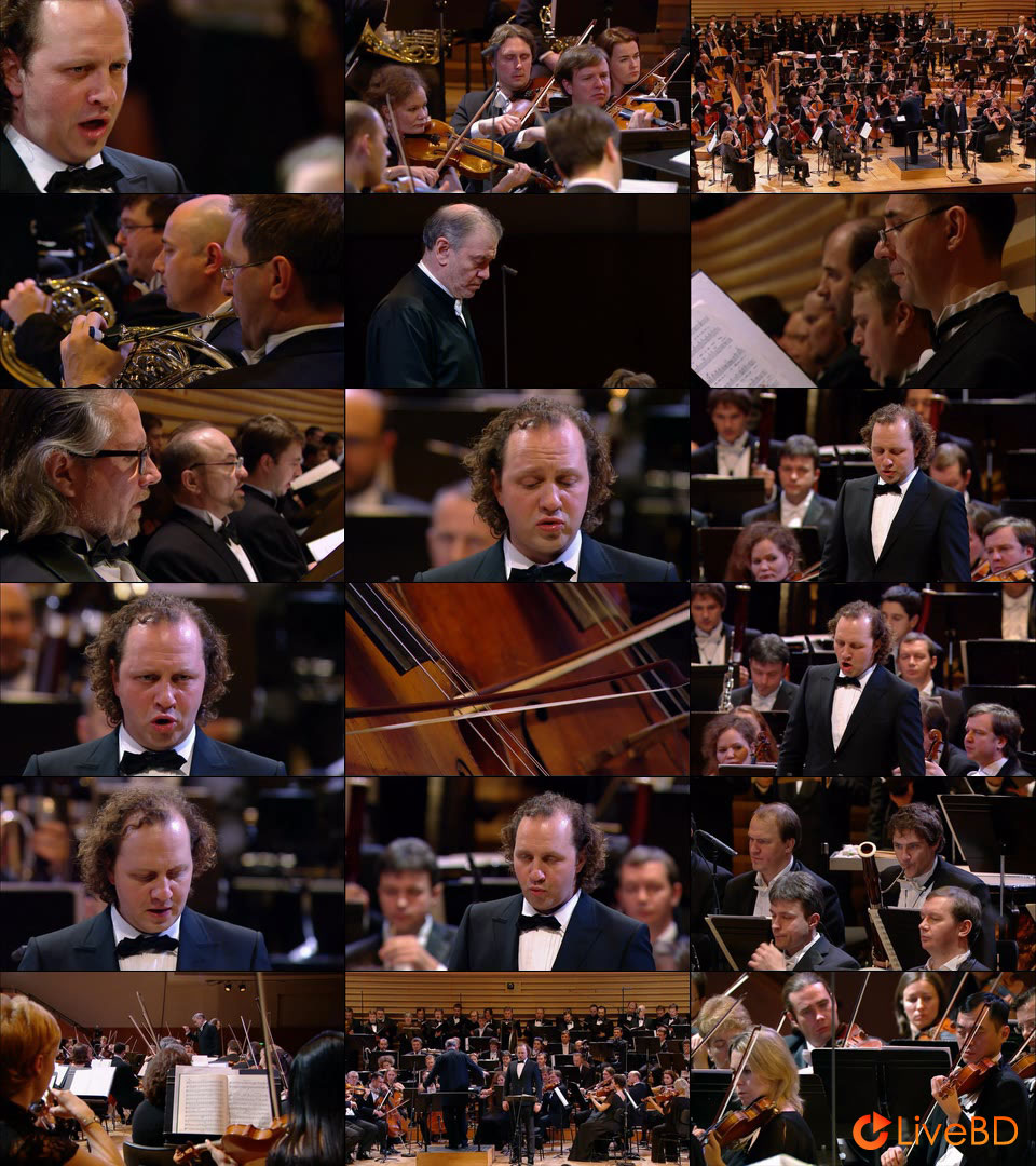 Valery Gergiev – Shostakovich Complete Symphonies & Concertos (4BD) (2015) BD蓝光原盘 170.5G_Blu-ray_BDMV_BDISO_4