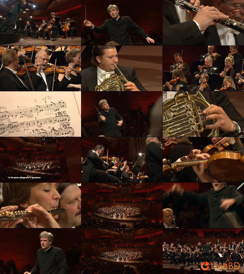 Thomas Dausgaard & Danish National Symphony Orchestra – Brahms 1, Dvorak 9, Sibelius 5, Nielsen 3 (2012) BD蓝光原盘 22.8G_Blu-ray_BDMV_BDISO_2