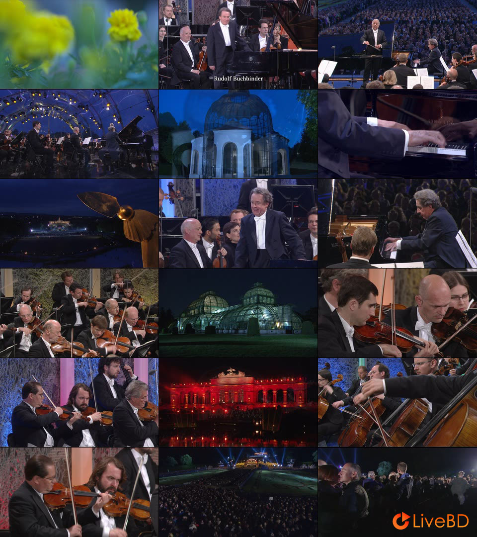 Summer Night Concert 2015 / Sommernachtskonzert 2015 (2015) BD蓝光原盘 19.8G_Blu-ray_BDMV_BDISO_2