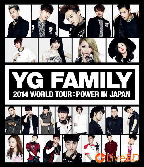 YG FAMILY WORLD TOUR 2014 POWER In Japan (2BD) (2014) BD蓝光原盘 70.3G_Blu-ray_BDMV_BDISO_