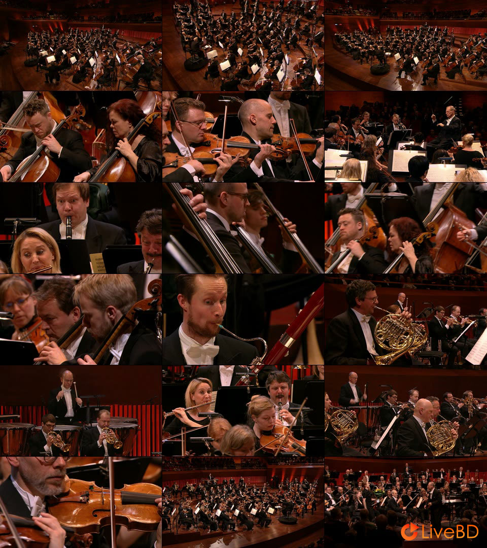 Rafael Fruhbeck De Burgos & Danish National Symphony Orchestra – Beethoven Symphonies 1-9 (3BD) (2016) BD蓝光原盘 118.7G_Blu-ray_BDMV_BDISO_4