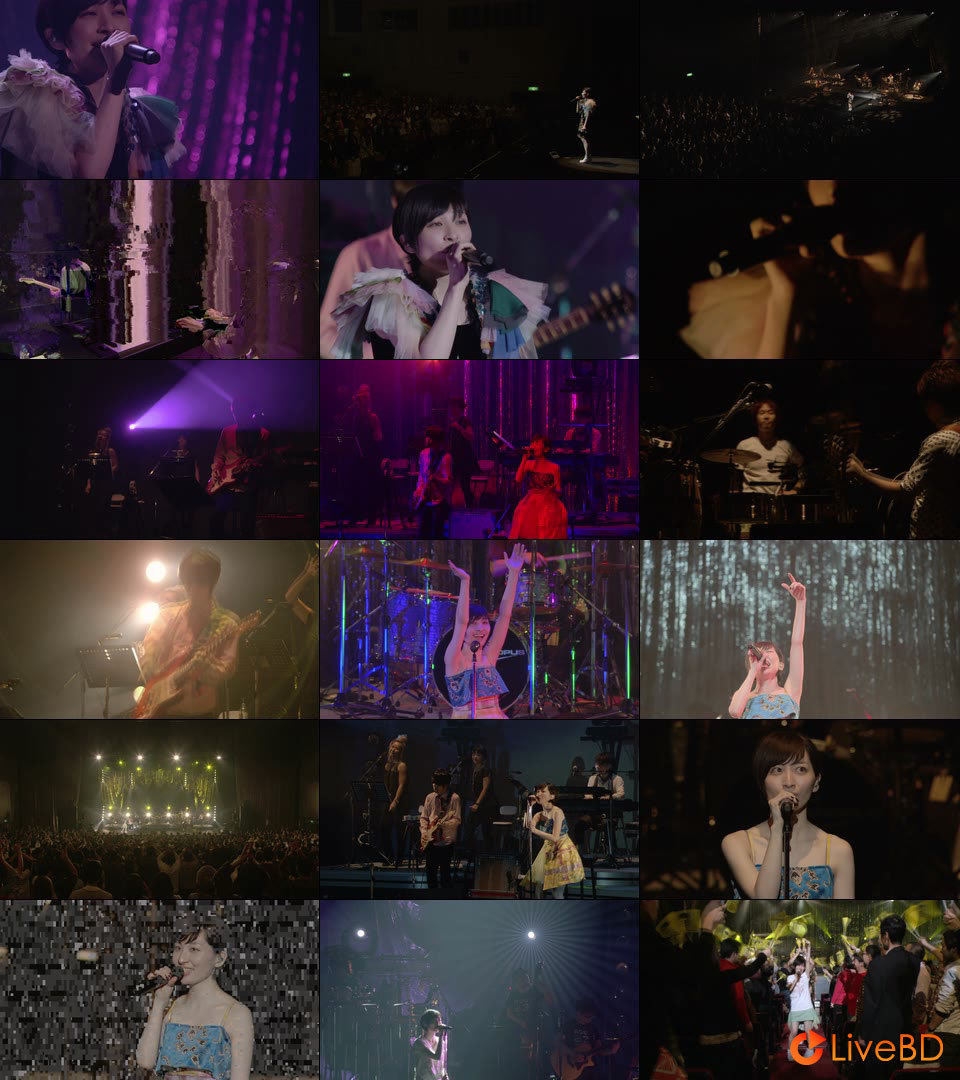 坂本真綾 COUNTDOWN LIVE 2012-2013～TOUR“ミツバチ”FINAL～(2013) BD蓝光原盘 41.5G_Blu-ray_BDMV_BDISO_2