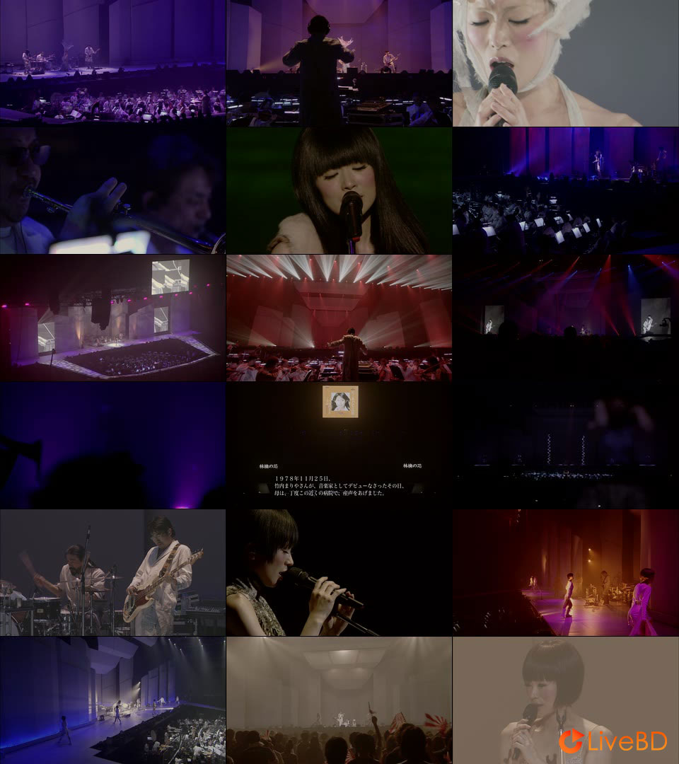 椎名林檎 Ringo EXPO 08 (2013) BD蓝光原盘 36.9G_Blu-ray_BDMV_BDISO_2