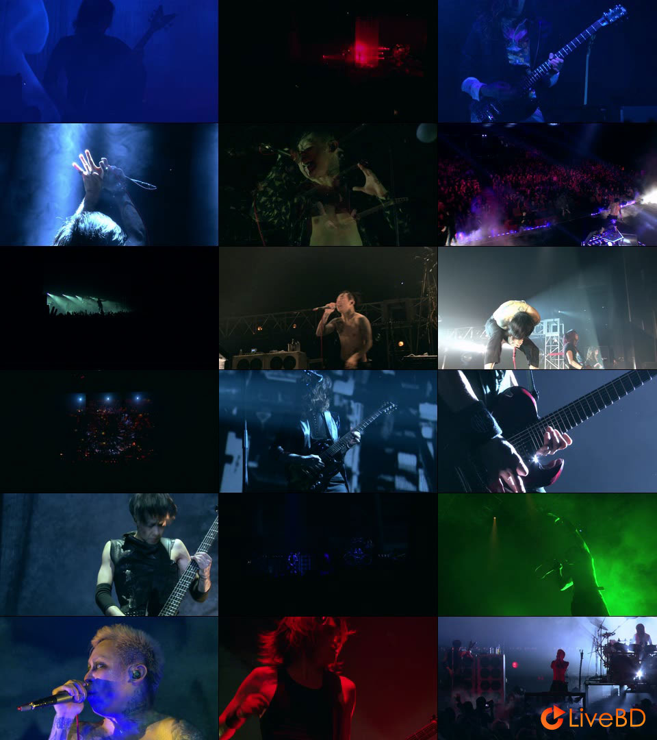 DIR EN GREY TOUR12-13 IN SITU-TABULA RASA (2014) BD蓝光原盘 43.8G_Blu-ray_BDMV_BDISO_2