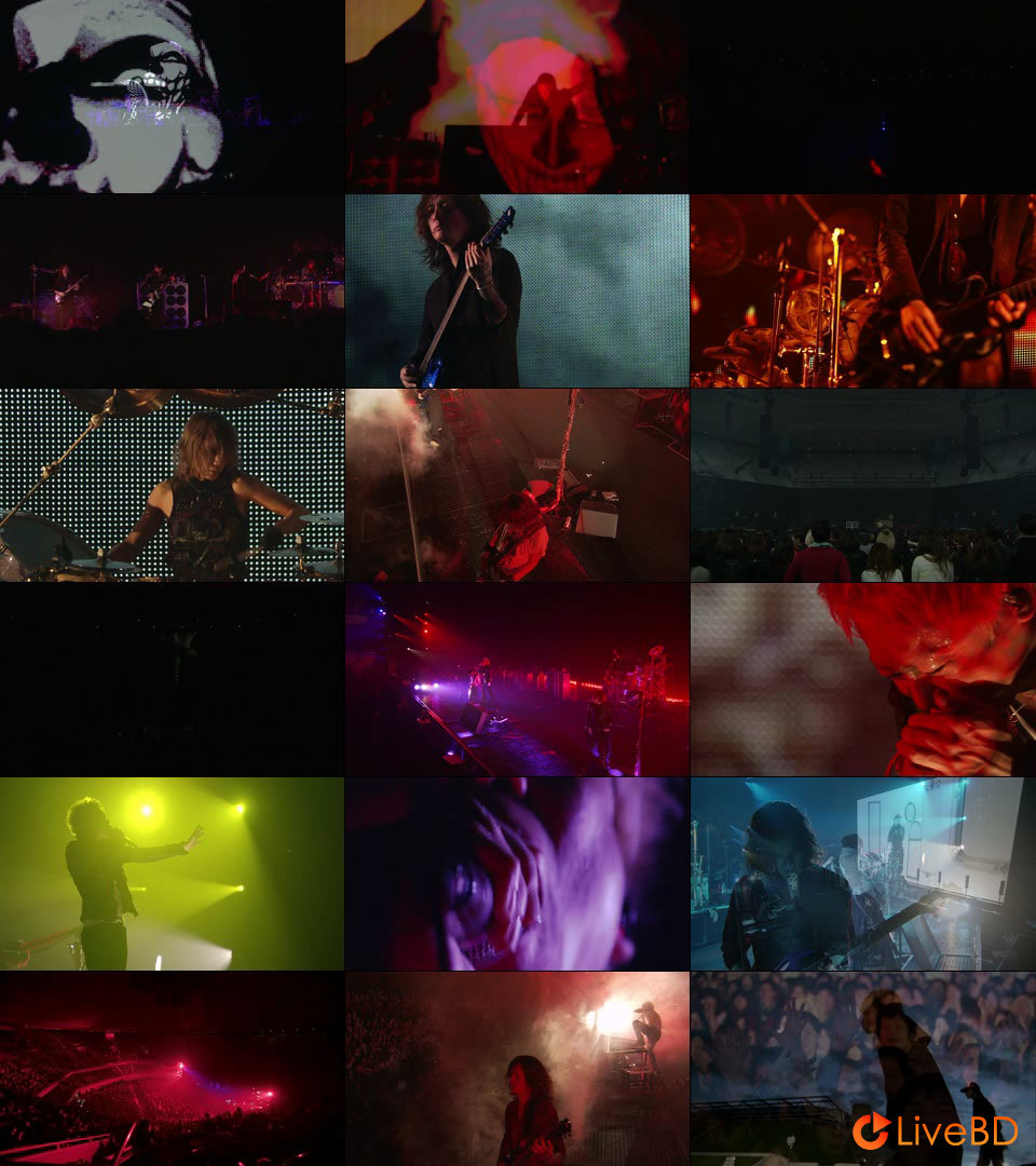 DIR EN GREY DUM SPIRO SPERO AT NIPPON BUDOKAN [初回生産限定盤] (2BD) (2014) BD蓝光原盘 64.4G_Blu-ray_BDMV_BDISO_2