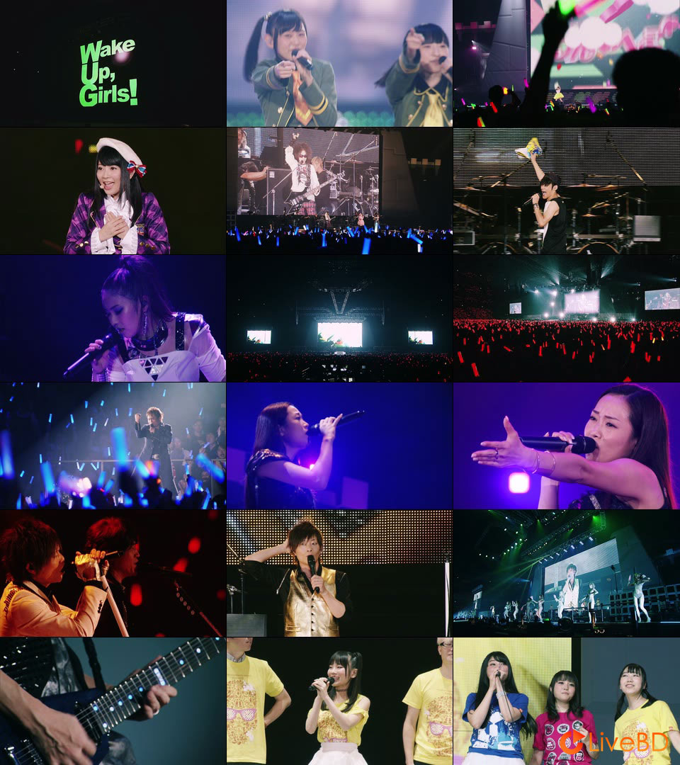 Animelo Summer Live 2015 -THE GATE- 8.30 (2BD) (2016) BD蓝光原盘 74.6G_Blu-ray_BDMV_BDISO_4