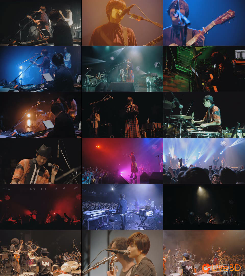 FLOWER FLOWER インコの have a nice day ツアー 2018.05.09 Zepp Tokyo (2018) BD蓝光原盘 41.6G_Blu-ray_BDMV_BDISO_2