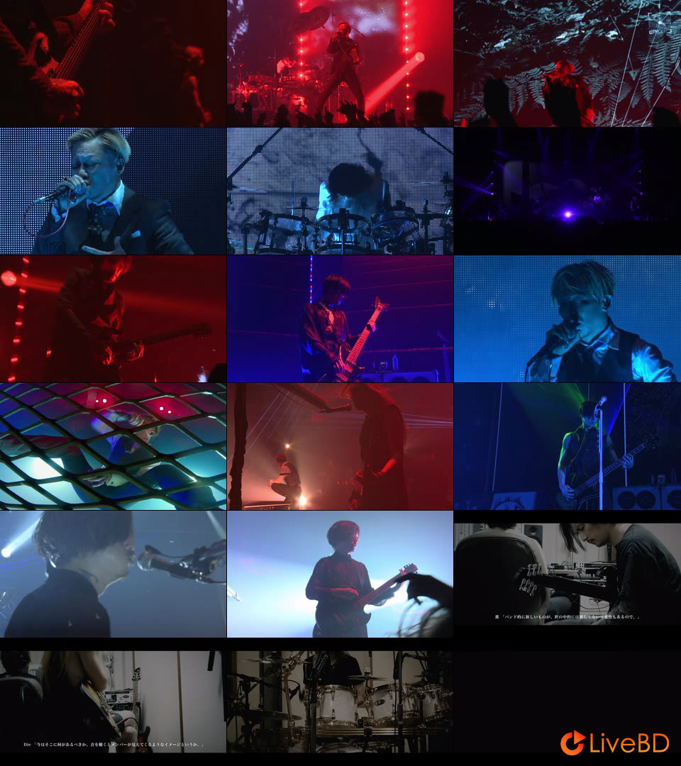 DIR EN GREY The World of Mercy [完全生産限定盤] (2019) BD蓝光原盘 18.3G_Blu-ray_BDMV_BDISO_2