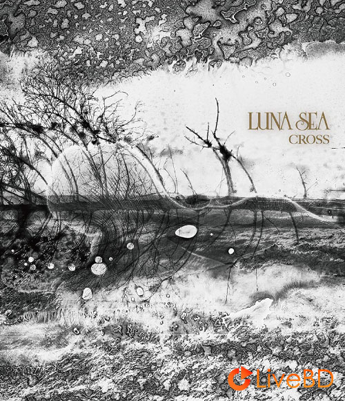 LUNA SEA CROSS [SLAVE Limited Edition PREMIUM BOX A] (2BD) (2019) BD蓝光原盘 61.7G_Blu-ray_BDMV_BDISO_