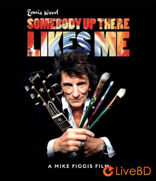 Ronnie Wood (The Rolling Stones) – Somebody Up There Likes Me (2020) BD蓝光原盘 31.3G_Blu-ray_BDMV_BDISO_