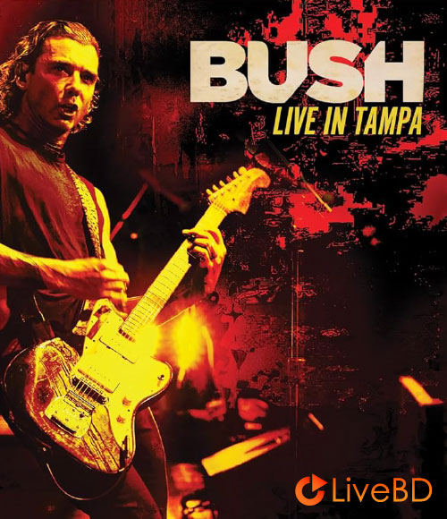 Bush – Live In Tampa (2020) BD蓝光原盘 23.1G_Blu-ray_BDMV_BDISO_