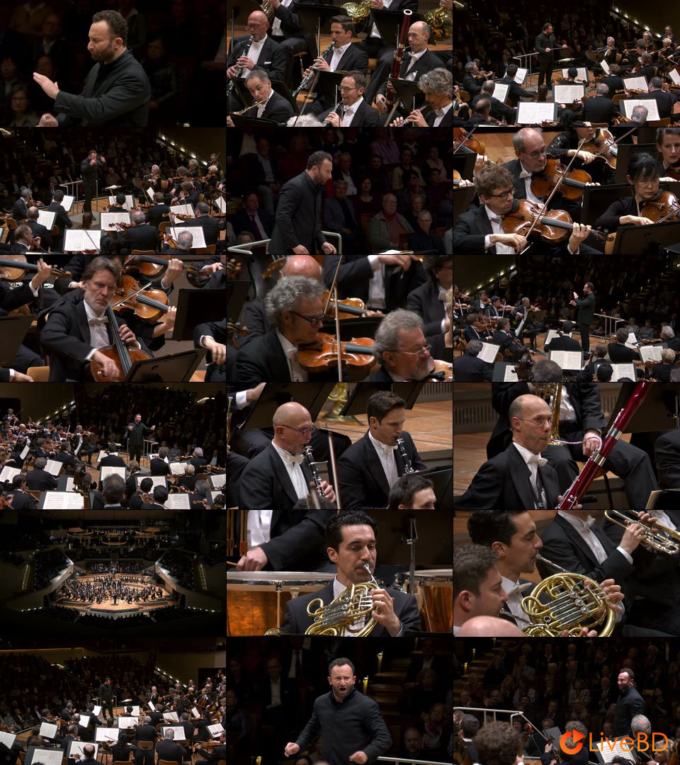 Kirill Petrenko & Berliner Philharmoniker – Beethoven, Tchaikovsky, Schmidt, Stephan (2BD) (2020) BD蓝光原盘 78.9G_Blu-ray_BDMV_BDISO_2