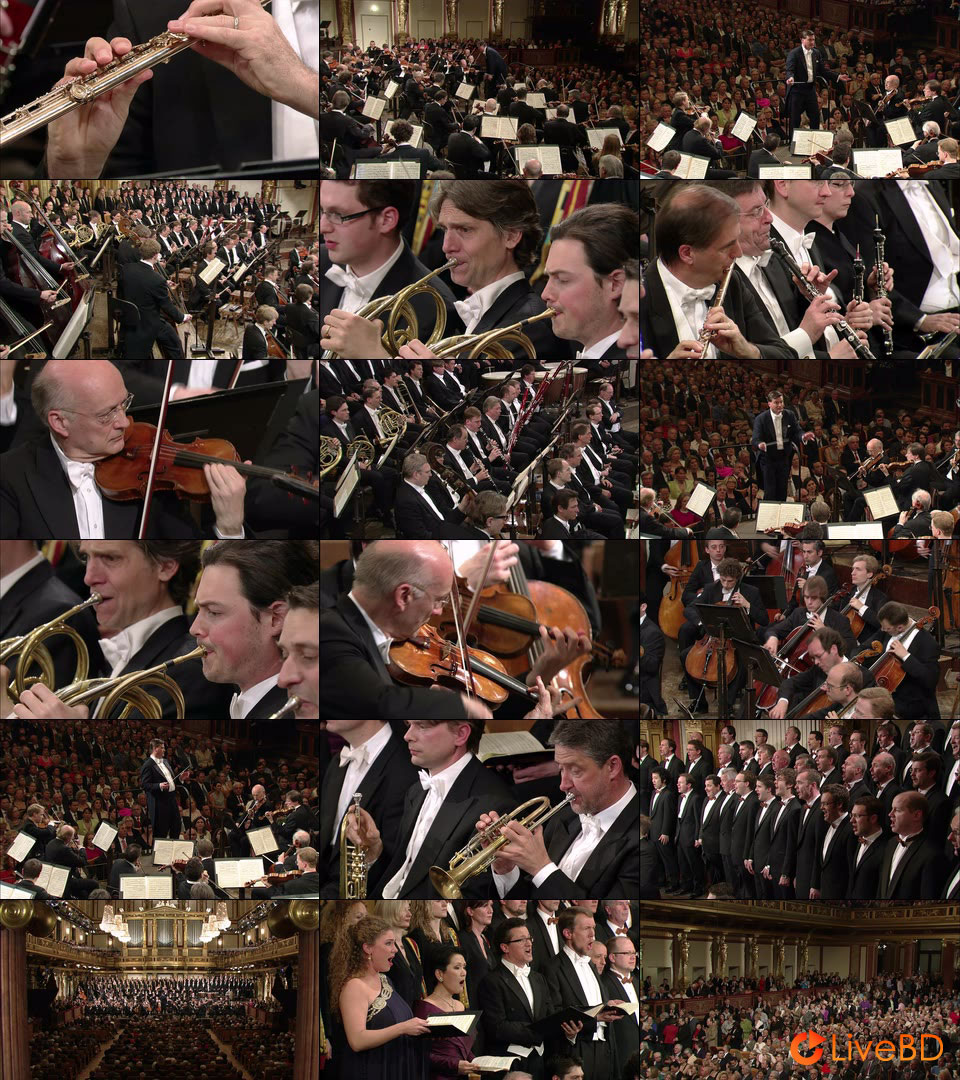 Christian Thielemann & Wiener Philharmoniker – Beethoven Symphonies No. 9 (2016) BD蓝光原盘 20.5G_Blu-ray_BDMV_BDISO_2