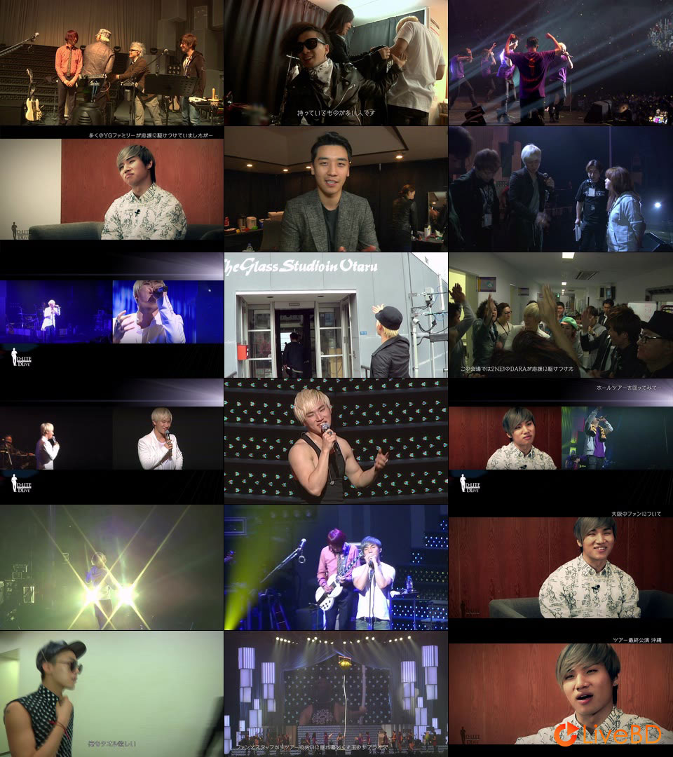 D-LITE from BIGBANG D′scover Tour 2013 in Japan～DLive～(2BD) (2013) BD蓝光原盘 74.3G_Blu-ray_BDMV_BDISO_4