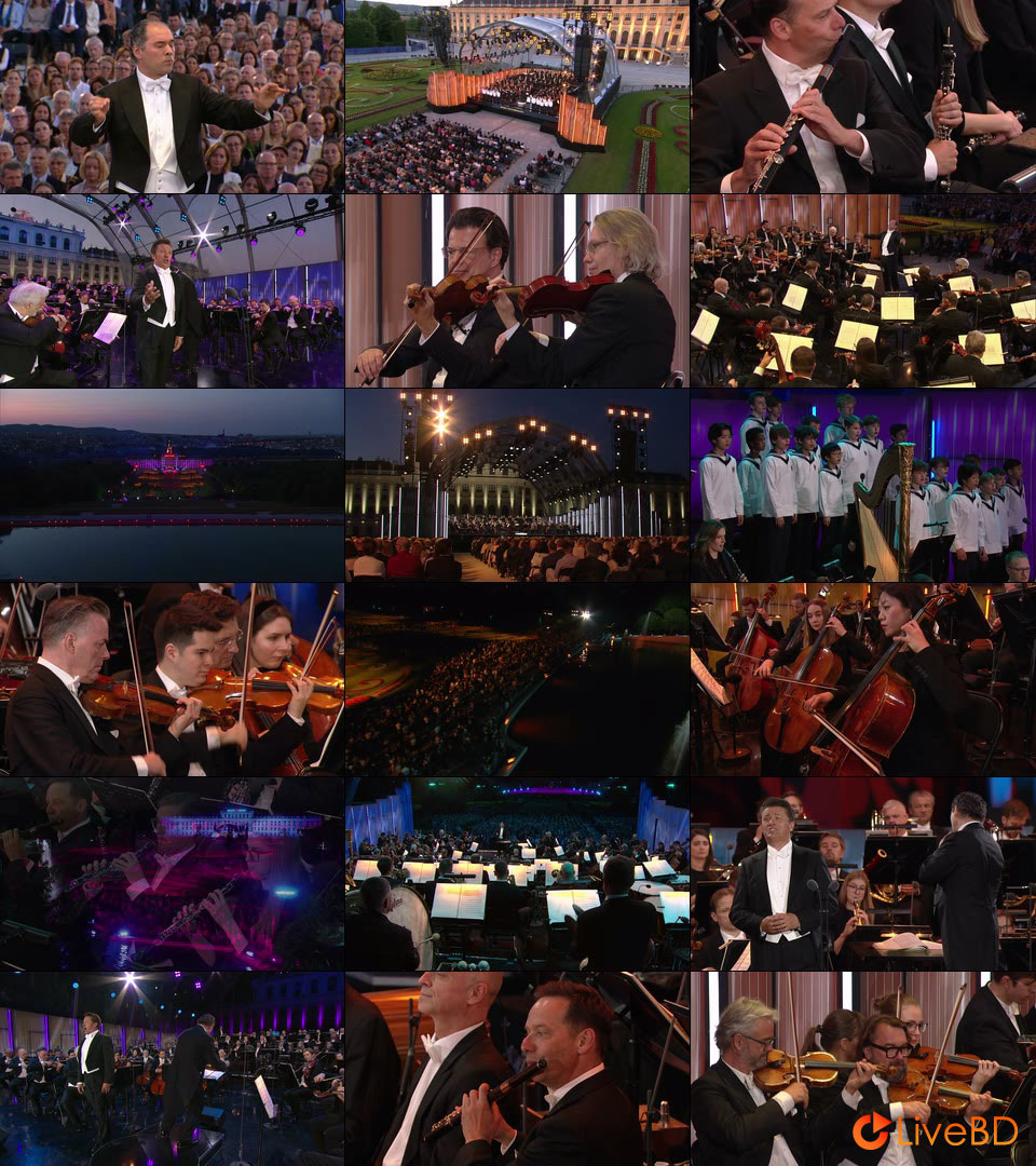 Summer Night Concert 2025 / Sommernachtskonzert 2025 (2025) BD蓝光原盘 20.8G_Blu-ray_BDMV_BDISO_2