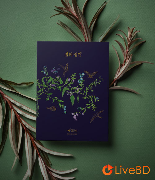 沈圭善 LUCIA 2022 CONCERT Night Garden ENCORE (2BD) (2023) BD蓝光原盘 44.6G