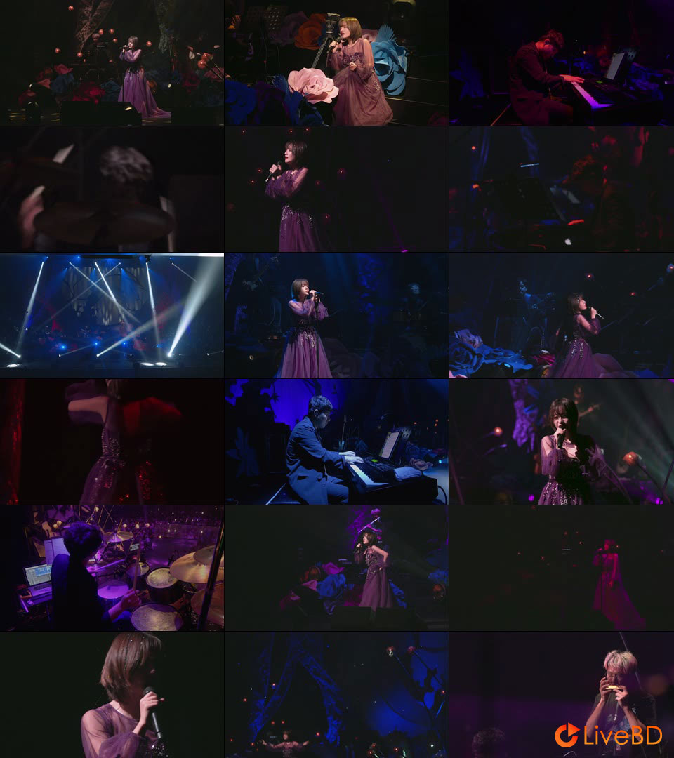 沈圭善 LUCIA 2022 CONCERT Night Garden ENCORE (2BD) (2023) BD蓝光原盘 44.6G_Blu-ray_BDMV_BDISO_4 沈圭善 LUCIA 2022 CONCERT Night Garden ENCORE (2BD) (2023) BD蓝光原盘 44.6G_Blu-ray_BDMV_BDISO_4