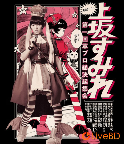 上坂すみれ 実録 2.11 第一回 革ブロ総決起集会 (2014) BD蓝光原盘 44.3G