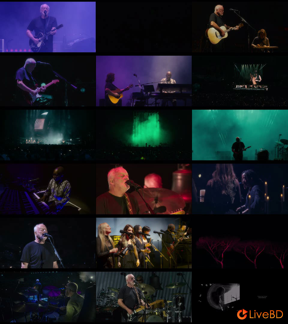 David Gilmour (Pink Floyd) – Live At The Circus Maximus (2BD) (2025) BD蓝光原盘 85.8G_Blu-ray_BDMV_BDISO_2