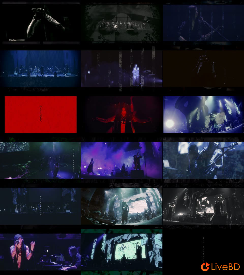 sukekiyo PERSUASIO / 2015.2.28 sukekiyo 2015 live「The Unified Field」-VITIUM- (2015) BD蓝光原盘 38.9G_Blu-ray_BDMV_BDISO_2 sukekiyo PERSUASIO / 2015.2.28 sukekiyo 2015 live「The Unified Field」-VITIUM- (2015) BD蓝光原盘 38.9G_Blu-ray_BDMV_BDISO_2