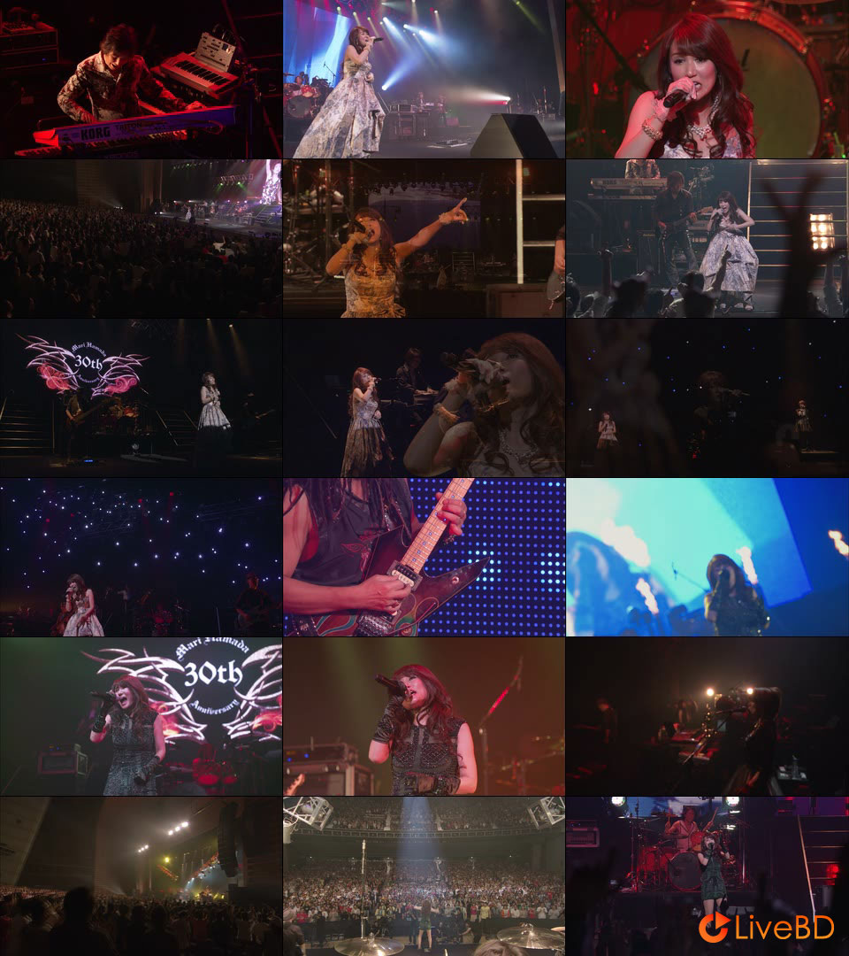 浜田麻里 30th Anniversary Mari Hamada Live Tour～Special～(2BD) (2015) BD蓝光原盘 50.6G_Blu-ray_BDMV_BDISO_2