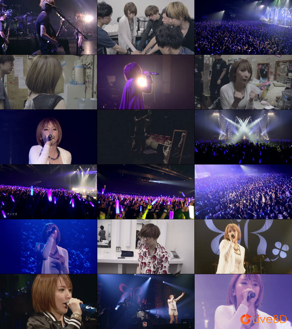 藍井エイル シューゲイザー [初回生産限定盤] (2015) BD蓝光原盘 22.6G_Blu-ray_BDMV_BDISO_2