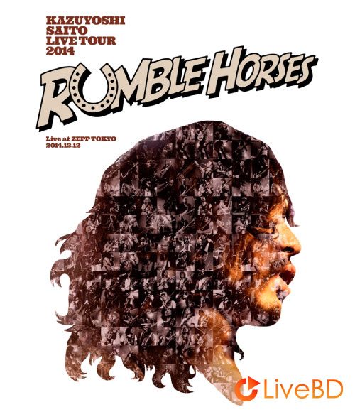 斉藤和義 KAZUYOSHI SAITO LIVE TOUR 2014 RUMBLE HORSES Live at ZEPP TOKYO (2015) BD蓝光原盘 34.8G