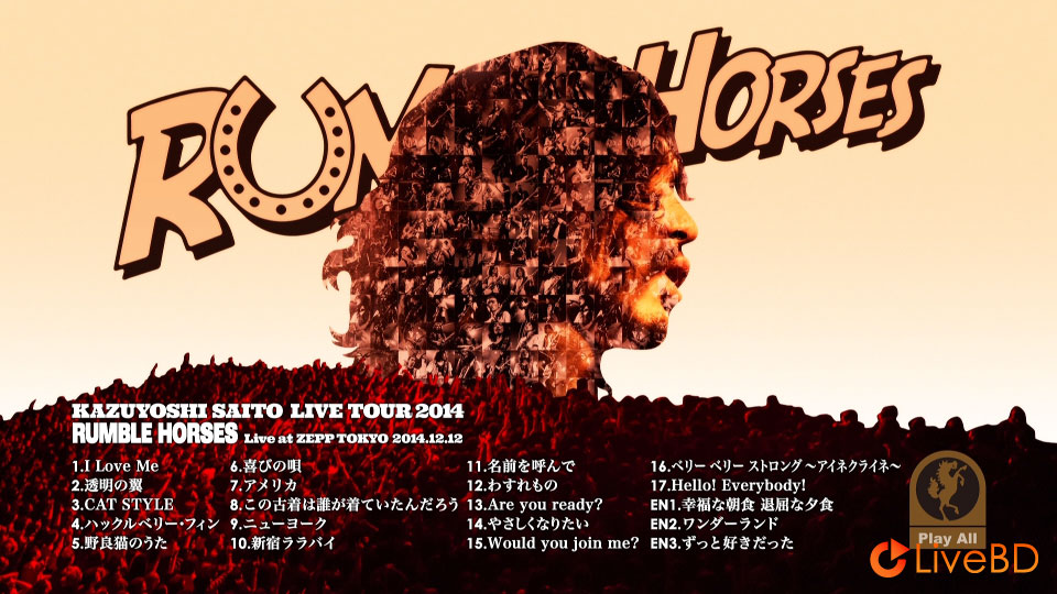 斉藤和義 KAZUYOSHI SAITO LIVE TOUR 2014 RUMBLE HORSES Live at ZEPP TOKYO (2015) BD蓝光原盘 34.8G_Blu-ray_BDMV_BDISO_1