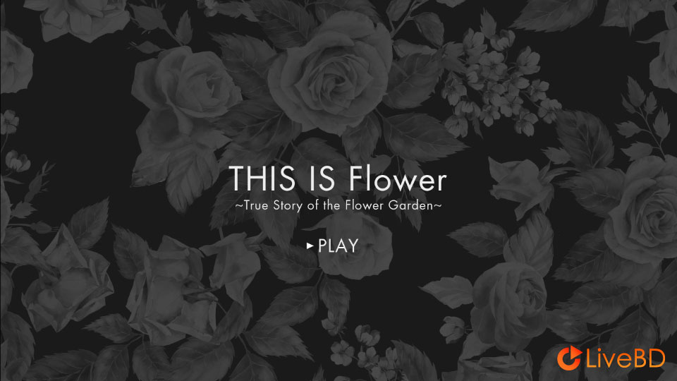 Flower THIS IS Flower THIS IS BEST (2BD) (2016) BD蓝光原盘 33.5G_Blu-ray_BDMV_BDISO_3