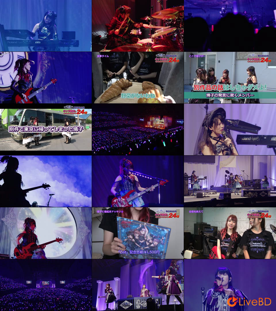 BanG Dream! Roselia 1st Live「Rosenlied」& 2nd Live「Zeit」(2BD) (2018) BD蓝光原盘 42.6G_Blu-ray_BDMV_BDISO_4