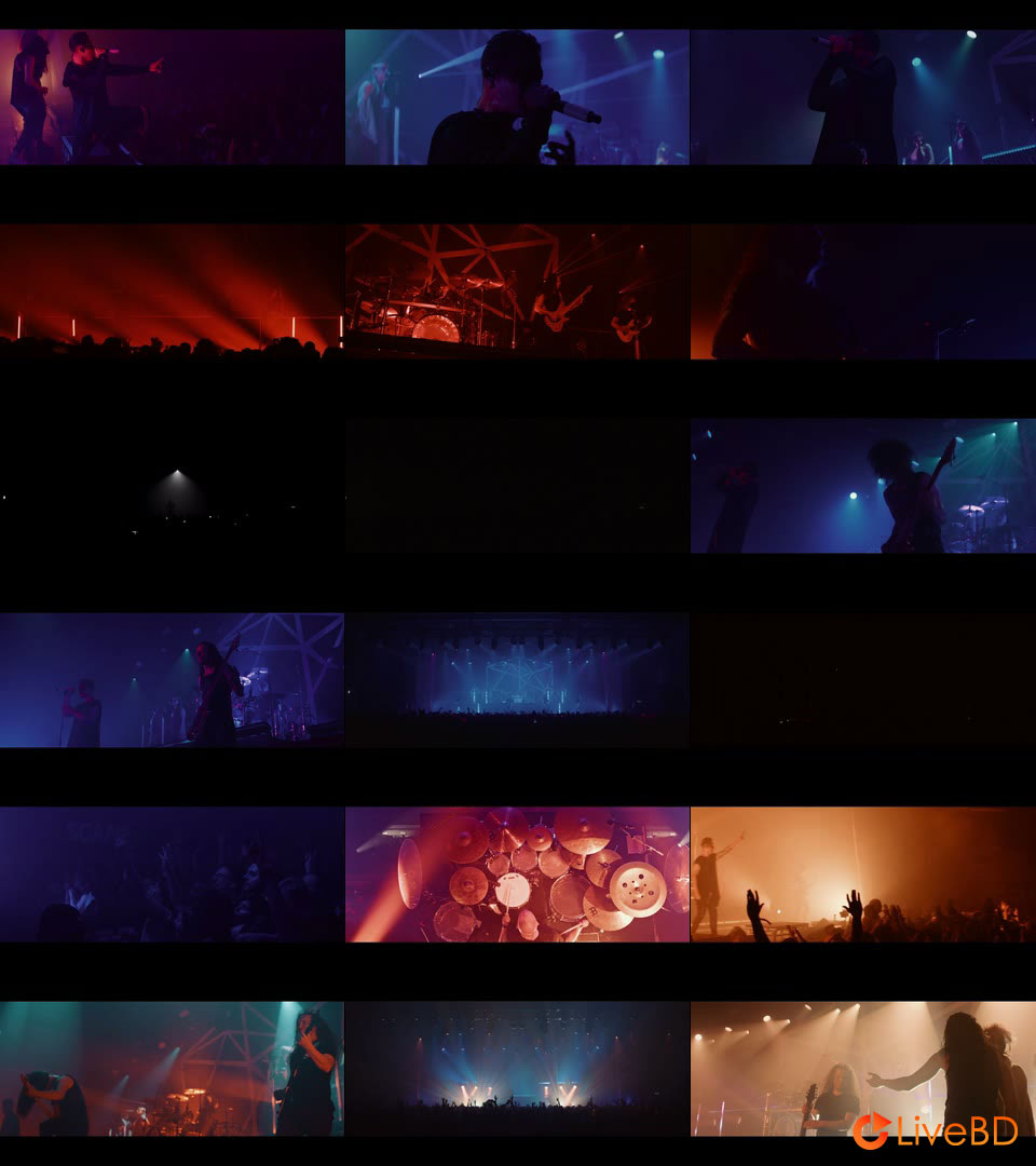 Tesseract – Radar (2025) BD蓝光原盘 36.8G_Blu-ray_BDMV_BDISO_2