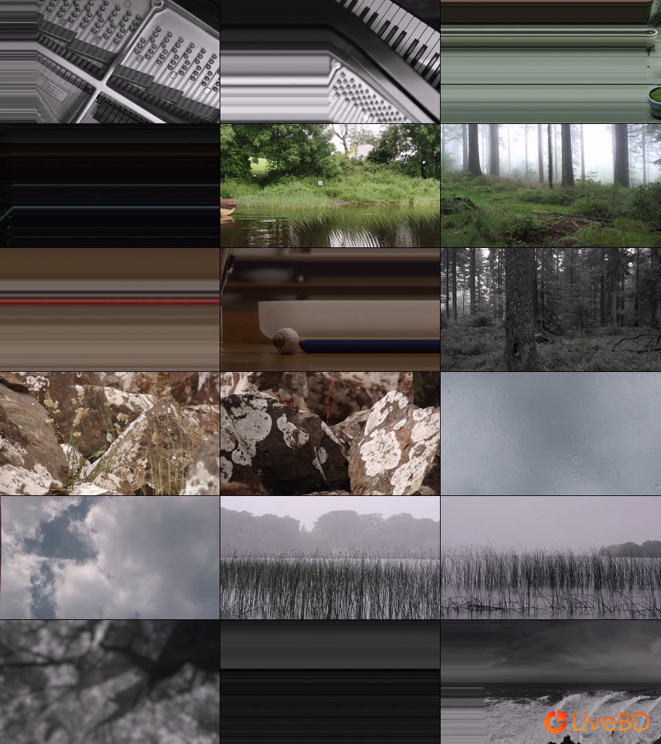 坂本龍一 & 高谷史郎 async surround (2018) BD蓝光原盘 24.3G_Blu-ray_BDMV_BDISO_2 坂本龍一 & 高谷史郎 async surround (2018) BD蓝光原盘 24.3G_Blu-ray_BDMV_BDISO_2