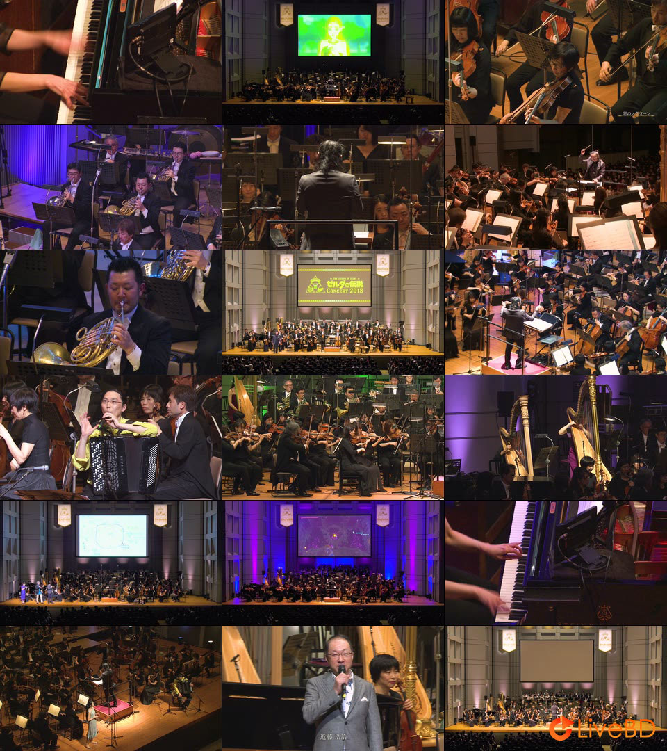 塞尔达传说交响音乐会 ゼルダの伝説コンサート The Legend of Zelda Concert 2018 (2019) BD蓝光原盘 43.1G_Blu-ray_BDMV_BDISO_2