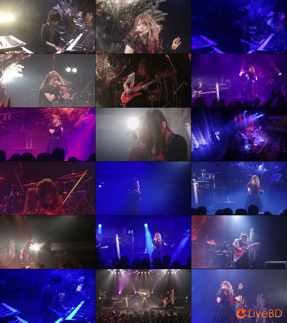 Fuki (Unlucky Morpheus) Fuki Fes. 2020 LIVE at KINEMA CLUB (2020) BD蓝光原盘 43.7G_Blu-ray_BDMV_BDISO_2