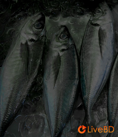 サカナクション LIVE FISH COMPLETE BOX GIFT Blu-ray (2020) BD蓝光原盘 43.5G