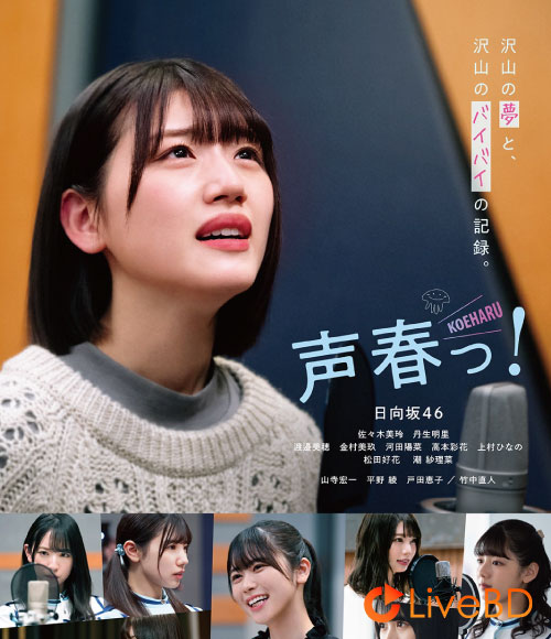 日向坂46 声春っ! Blu-ray BOX (6BD) (2021) BD蓝光原盘 137.1G